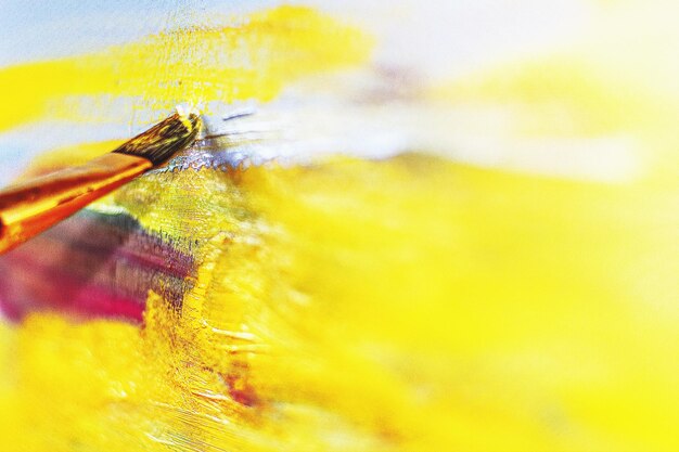 Close-up of yellow insect