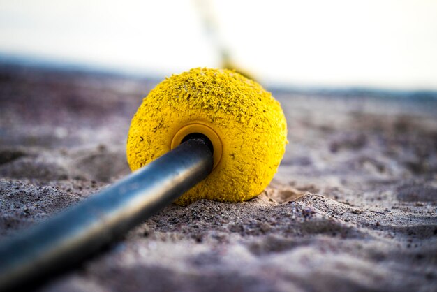 Foto close-up di foglia gialla sulla spiaggia