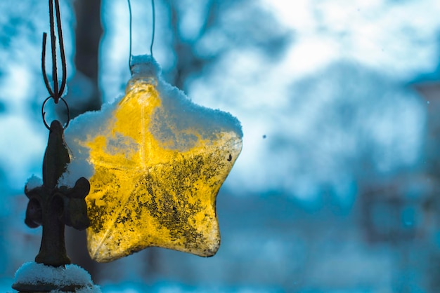 Close-up of yellow leaf during winter