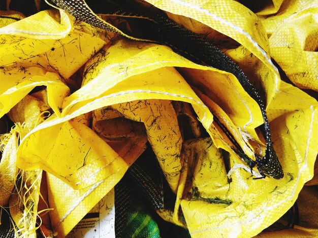 Close-up of yellow leaves