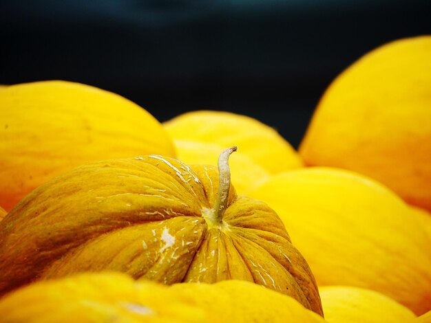 Photo close-up of yellow melons