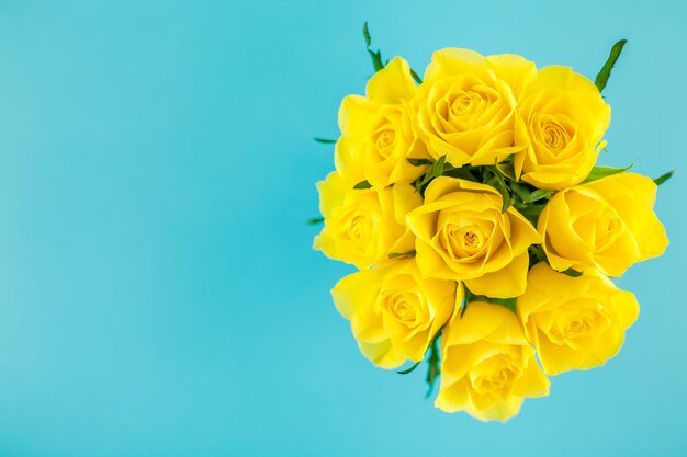 Close-up of yellow rose against blue background