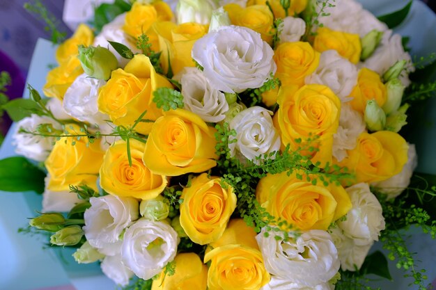 Close-up of yellow roses