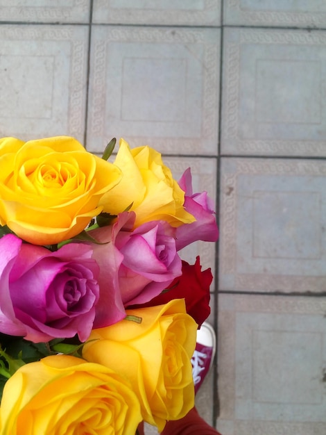 Photo close-up of yellow roses