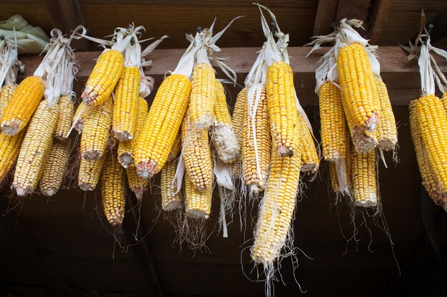 Foto close-up di giallo per la vendita al mercato