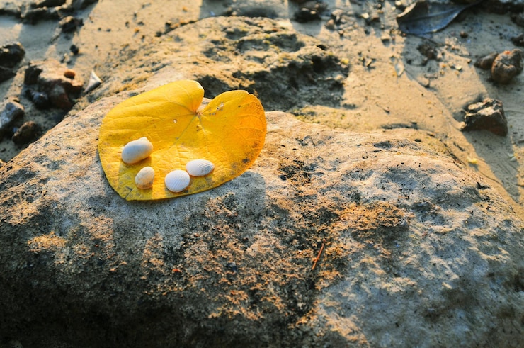 Photo close-up of yellow sand on beach