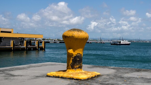 Foto close-up del mare giallo contro il cielo