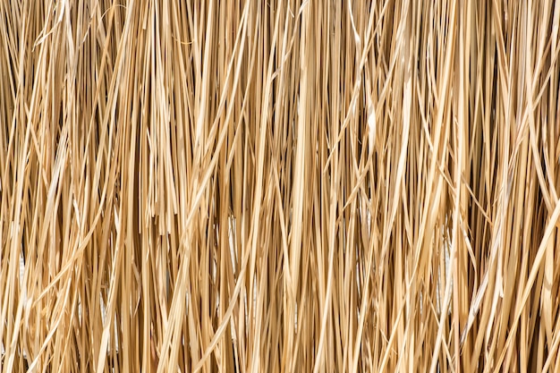 Photo close up yellow straw wall texture background