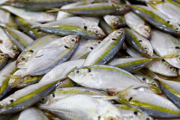 Close-up yellow-stripe scad fish on seafood market