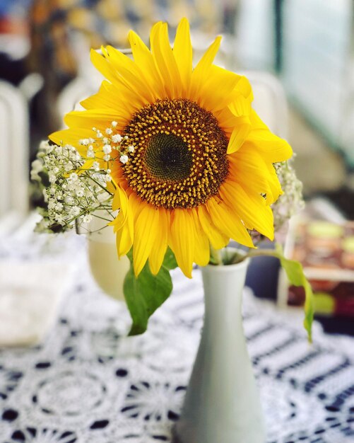 Close-up of yellow sunflower flower on table