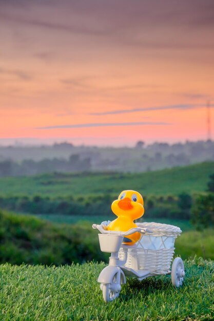 Photo close-up of yellow toy on field against sky during sunset