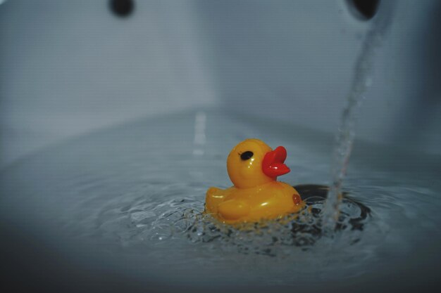 Close-up of yellow toy floating on water