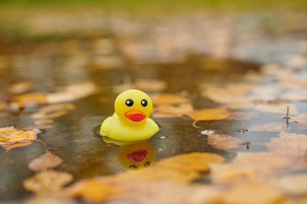 Photo close-up of yellow toys floating on lake