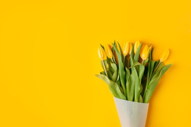 Close-up of yellow tulip