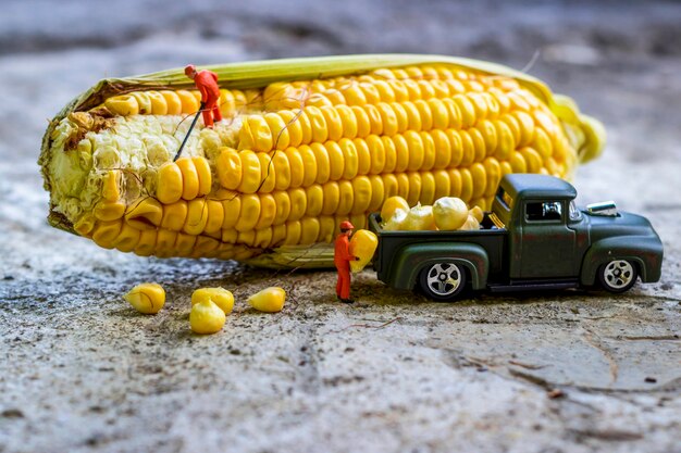 Foto close-up di un vegetale giallo a terra