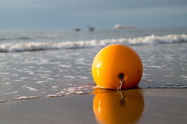 Close-up of yellow water on beach