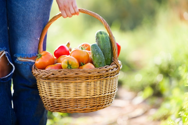 Close-up of young woman carrying basket with freshly harvested vegetables in garden.