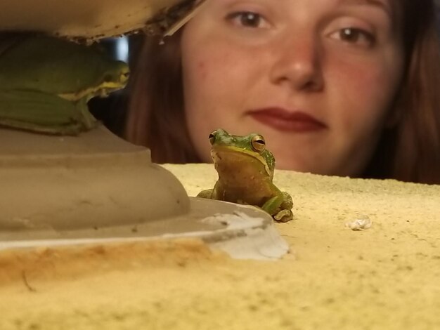 Photo close-up of young woman looking at frogs on retaining wall