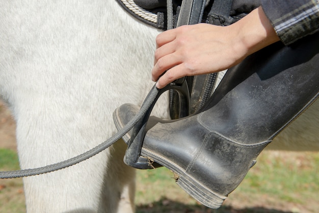 Close up of young woman rider mounting a white horse