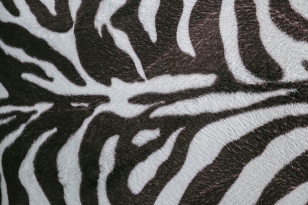 close-up zebra bont textuur achtergrond