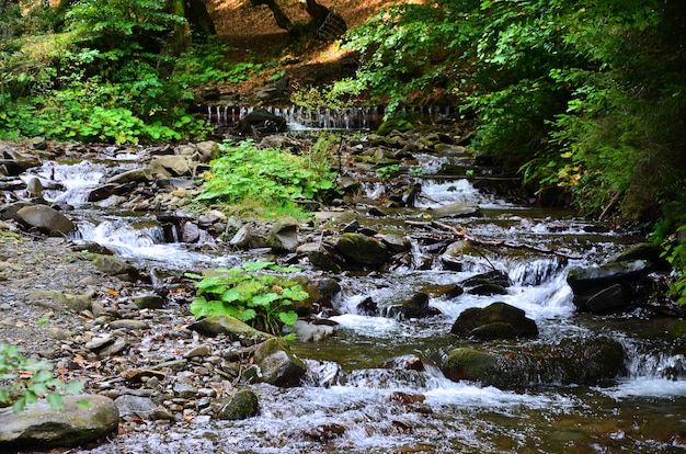 Close-upbeeld van een kleine wilde waterval in de vorm van korte stromen water tussen bergstenen