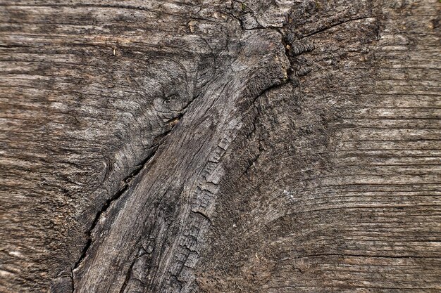 Close-upfoto van de oude grijze houten achtergrond van de muurtextuur