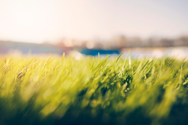 Close-upgras op voetbalgebied