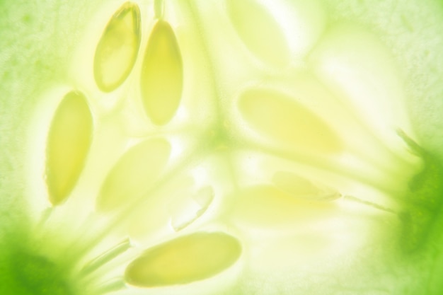 Close-upmacro van achtergrond van de komkommer de groene kleur
