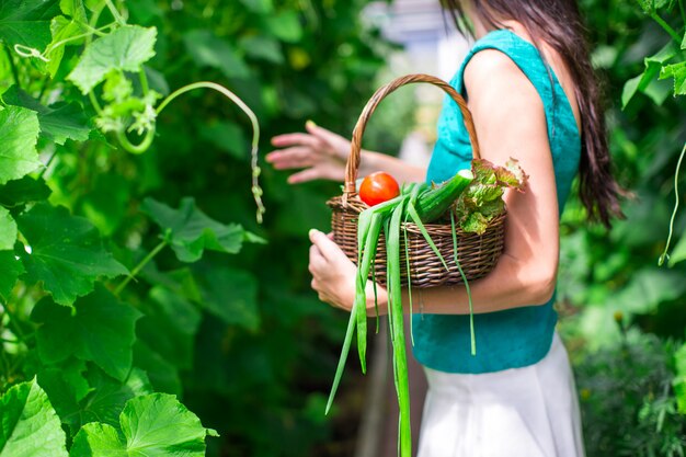 Close-upmand greens in de handen van de vrouw