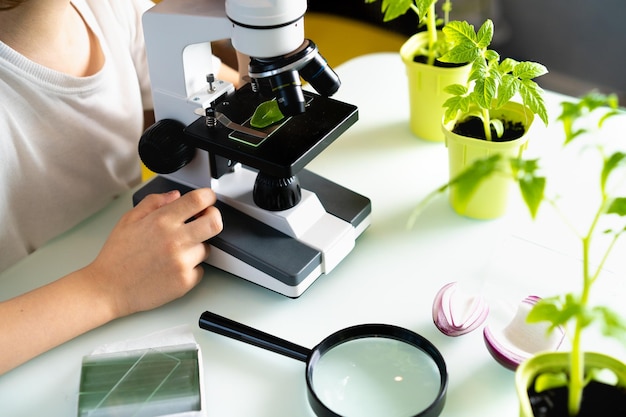 Close-upmicroscoop en plantenstudie die de natuur vergroten en bestuderen