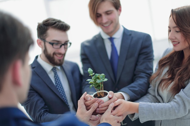 Close upthe business team looks at the young sprouts