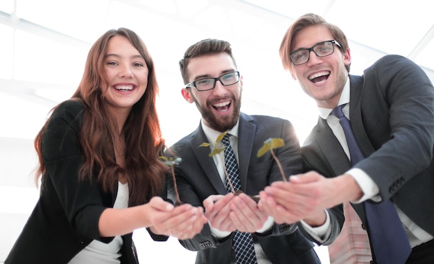 Close upthe business team shows fresh sprouts