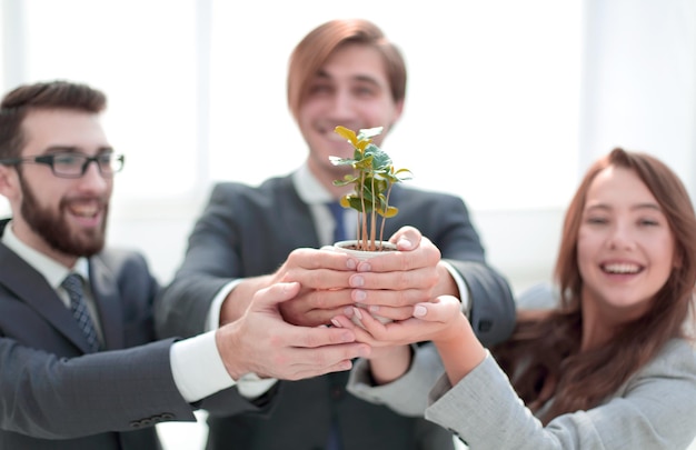 Close upyoung sprouts in the hands of the business team