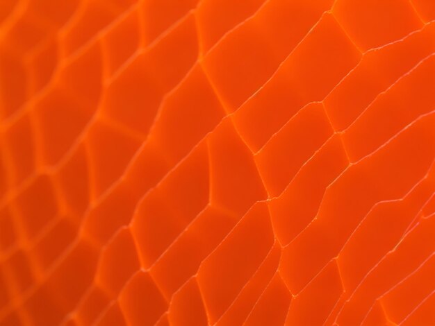 Close view of macro photo of a cut orange