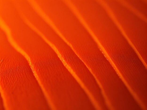 Close view of macro photo of a cut orange