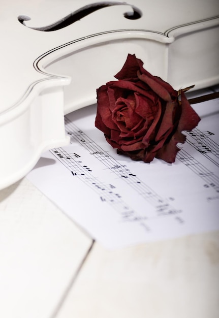 Close view of a white violin dry rose and musical notes on wooden table