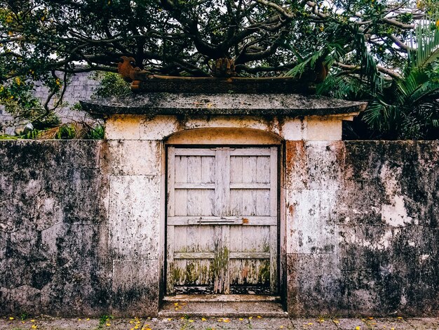 Photo closed door on abandoned surrounding wall against trees