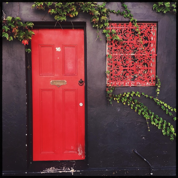 Closed door of building