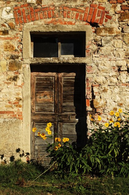 Photo closed door of building