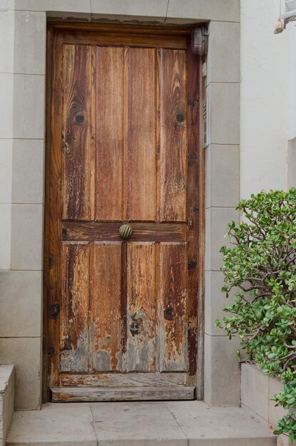 Photo closed door of building