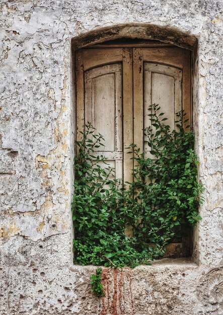 Foto porta chiusa di un vecchio edificio.