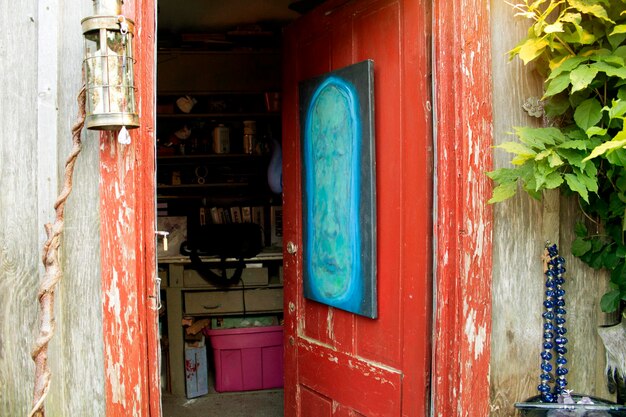 Closed door of old building