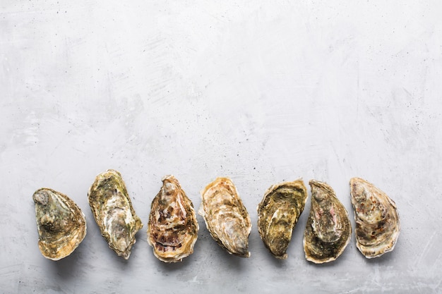 Closed oysters on gray concrete background. Healthy sea food. Copy space