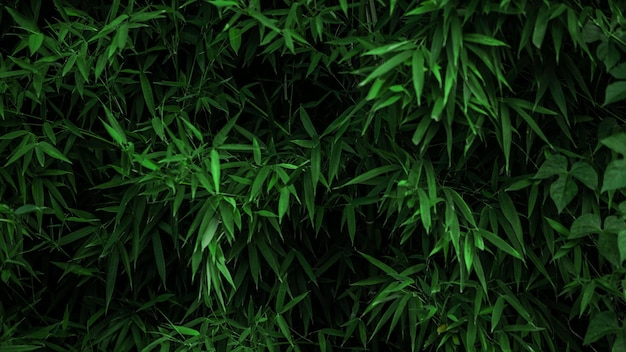 アジアの竹林の自然の背景のクローズアップパターン常緑多年生顕花植物のための新鮮な緑の竹の木のテクスチャの水平方向のデザイン