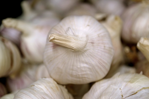 Closed up one of a raw garlic on the garlic pile