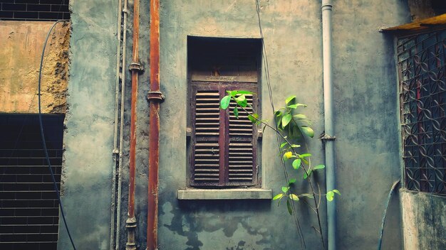 Closed window of building