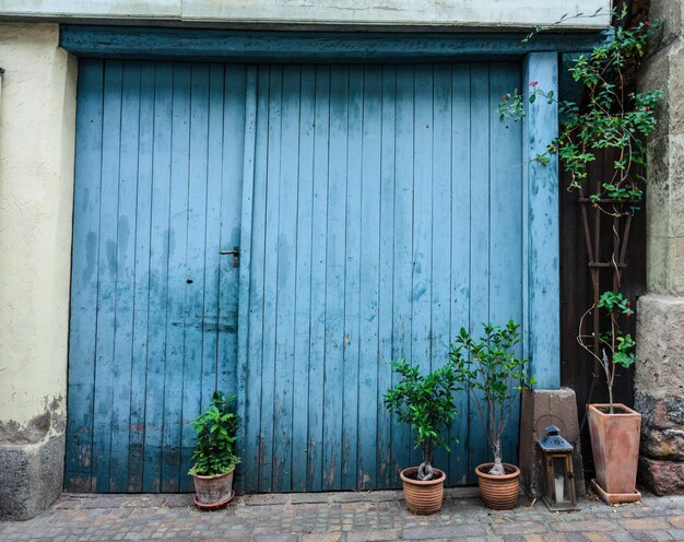 Closed wooden door of old building