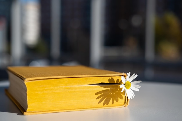 Closed yellow book with a bookmark with a chamomile flower lies\
on a table