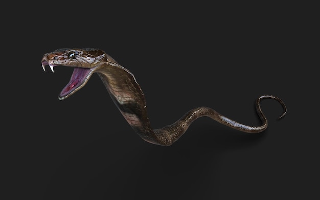 Foto closeup di illustrazione 3d re cobra serpente attacco posa isolato su sfondo bianco