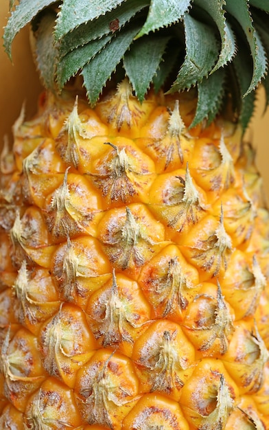 Closeup of the Amazing Detail of a Fresh Ripe Pineapple